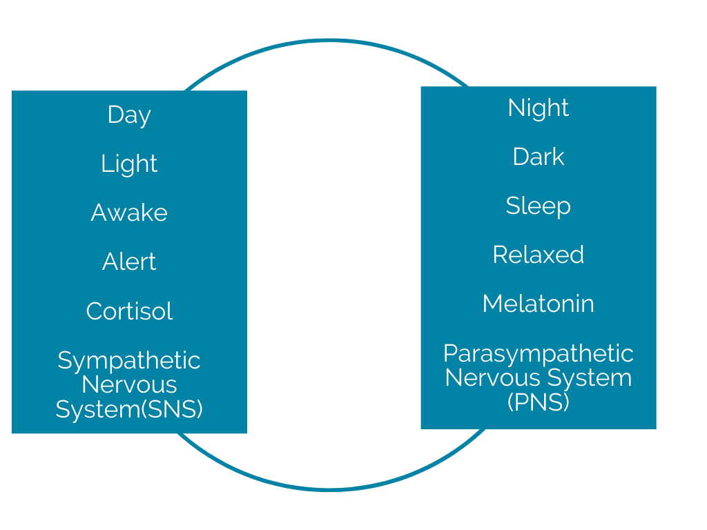 day and night diagram